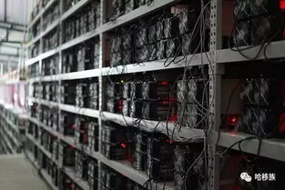 A digital mining farm setup