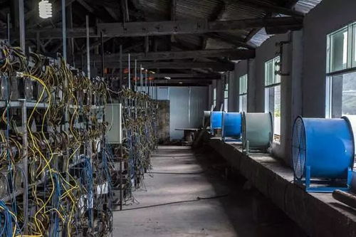 A bustling mining farm in Japan, showcasing rows of advanced rigs dedicated to cryptocurrencies like ETH and BTC