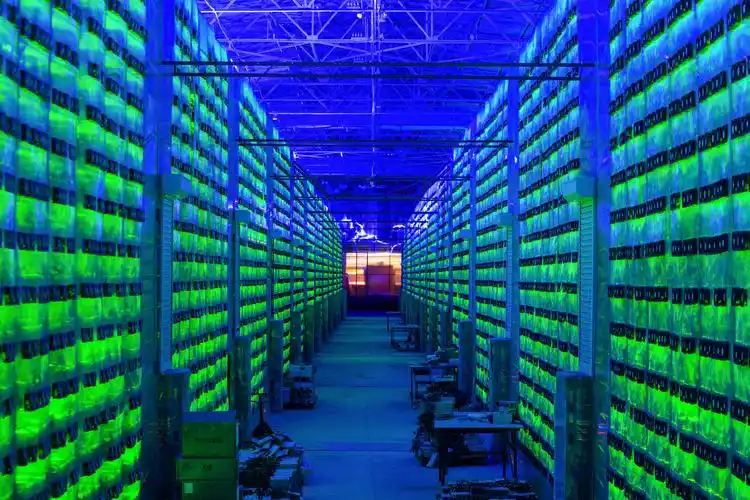 A well-structured mining farm setup